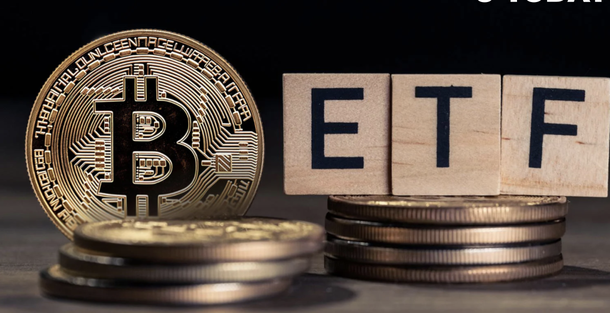 Major Bitcoin ETF Players and Their Performance