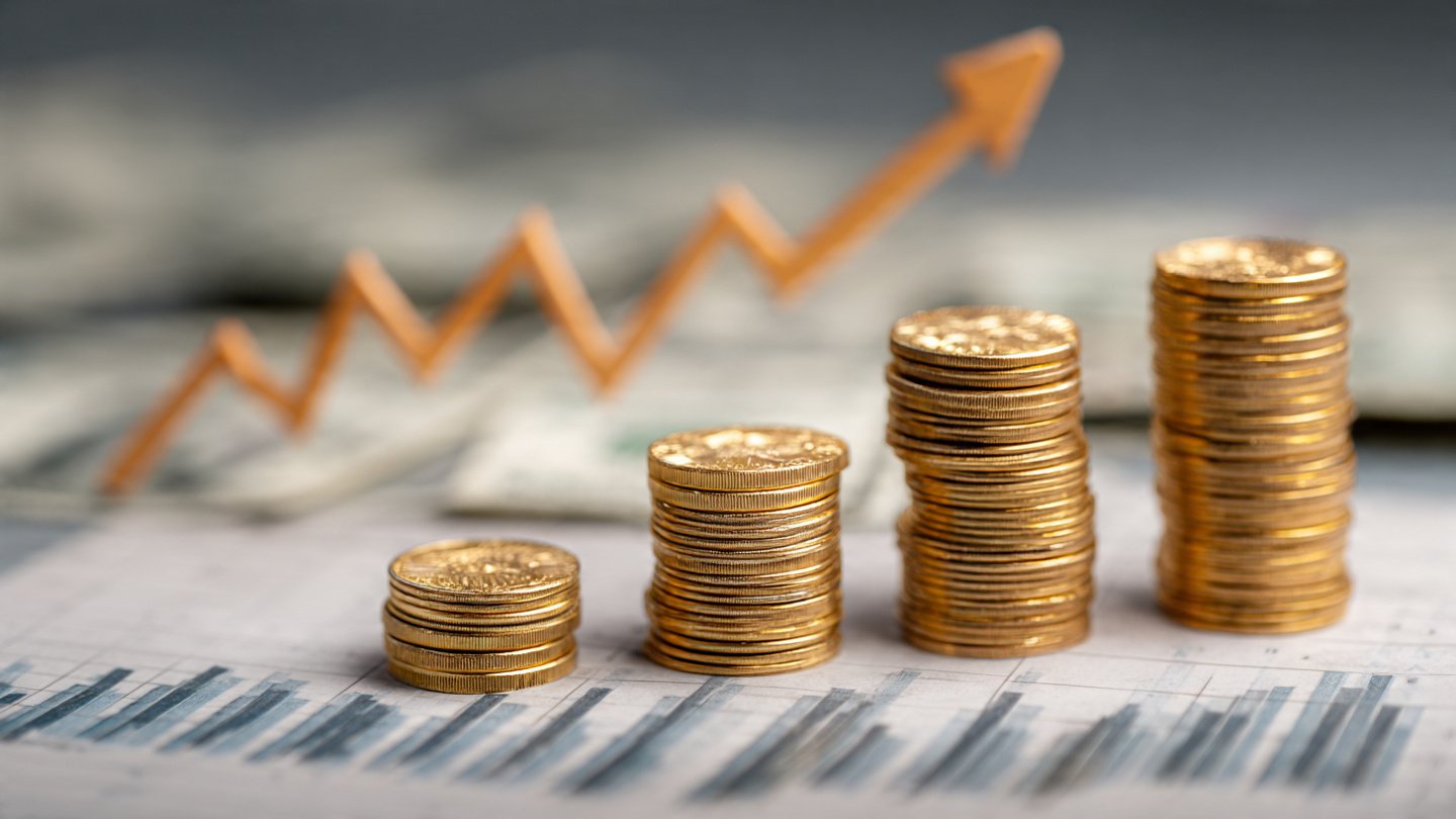 Understanding the Outputs: Revenue, Costs, and Profit